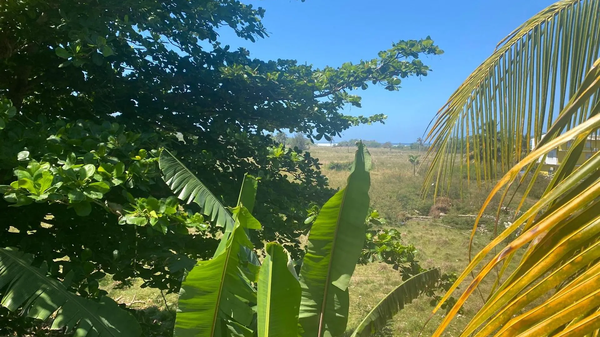 Guest house Villa Marsana Aguada